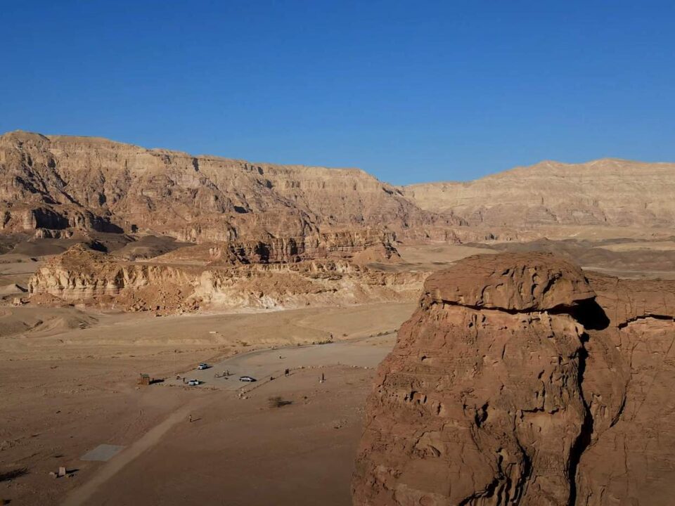 תמנע