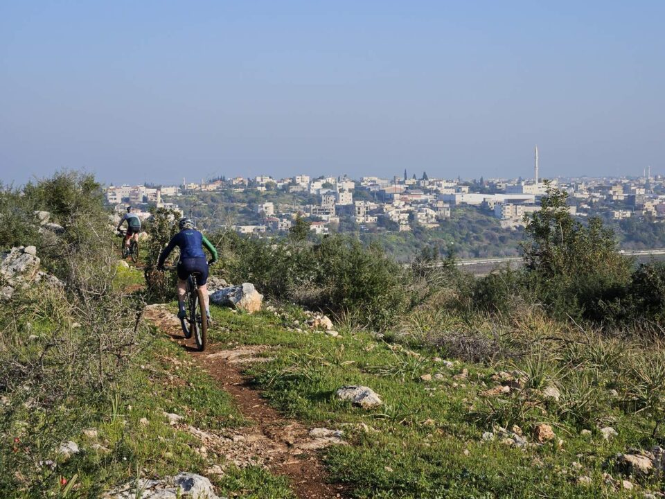 ואדי ערה