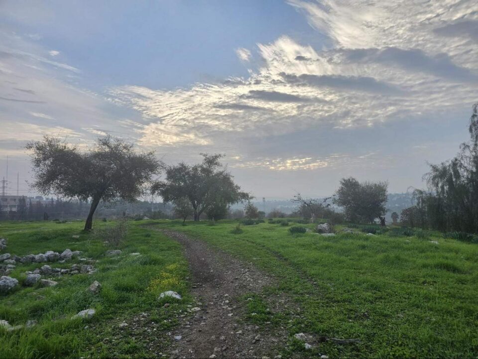 סובב ראש העין