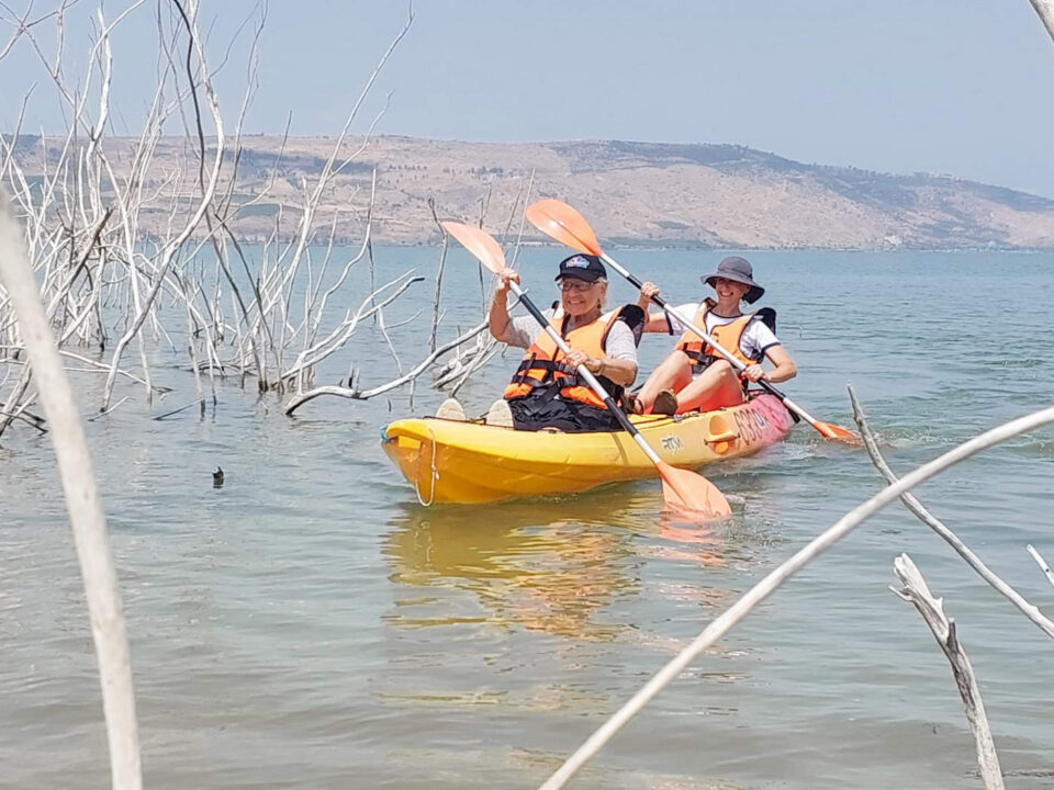 כנרת