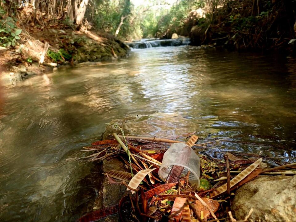 עמק המעיינות