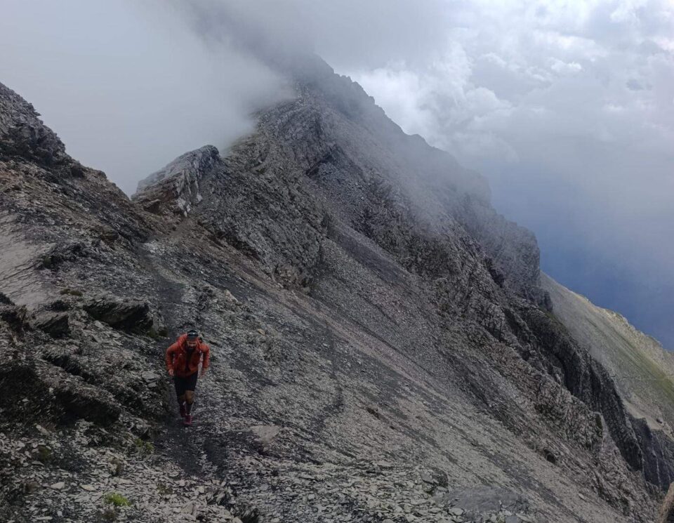 האלפים השוויצרים