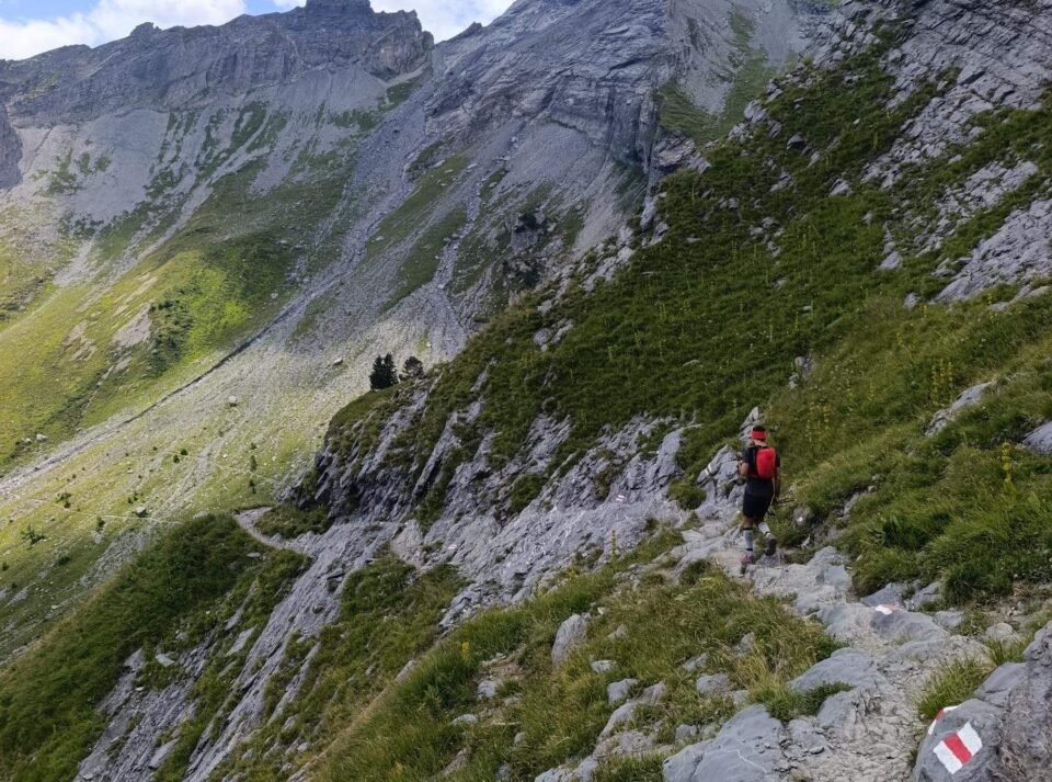 האלפים השוויצרים