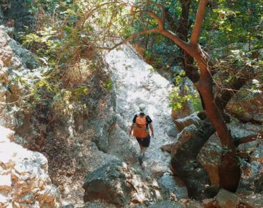 הצל של הצפון: חמישה מסלולים מוצלים מסלול מוצל