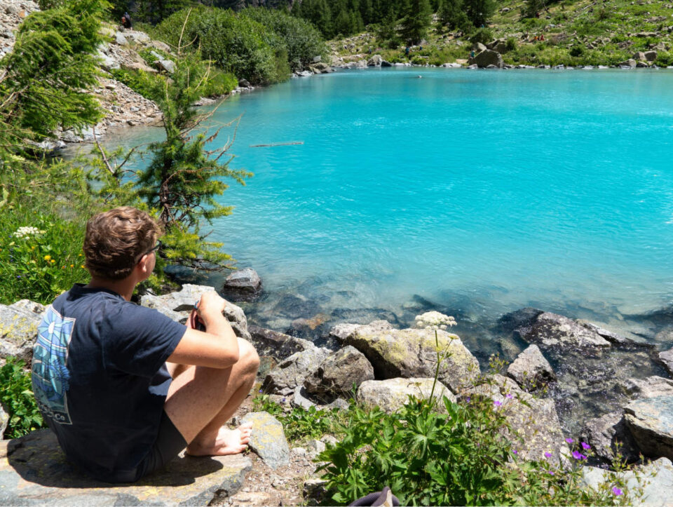 אלפים צרפתיים