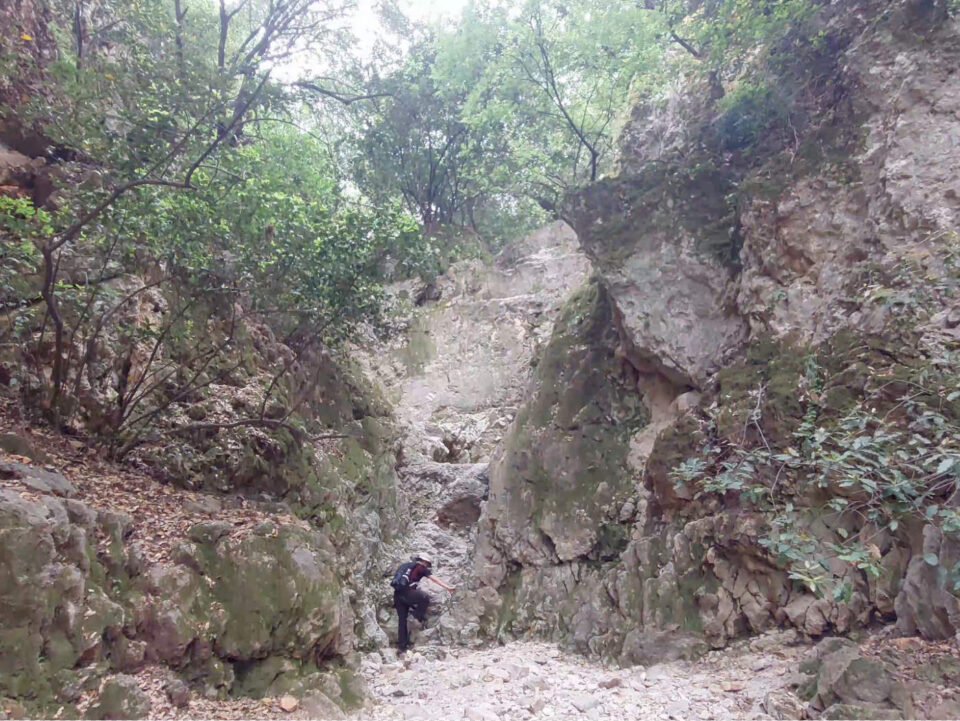 מסלולים מוצלים