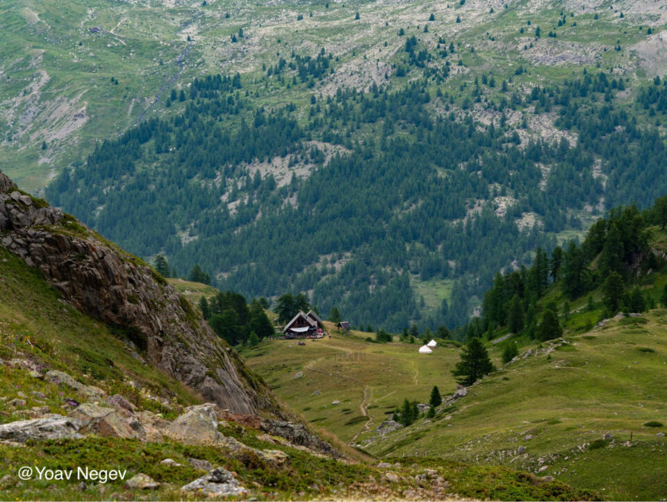 אלפים צרפתיים