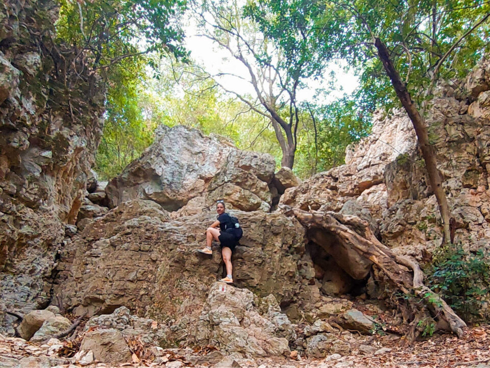 שביל הבנים הדרוזים