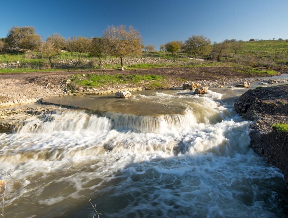 ממש קרוב לגבעת הרקפות