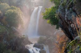 a waterfall in the middle of a forest
