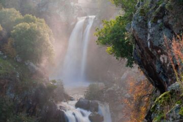 a waterfall in the middle of a forest