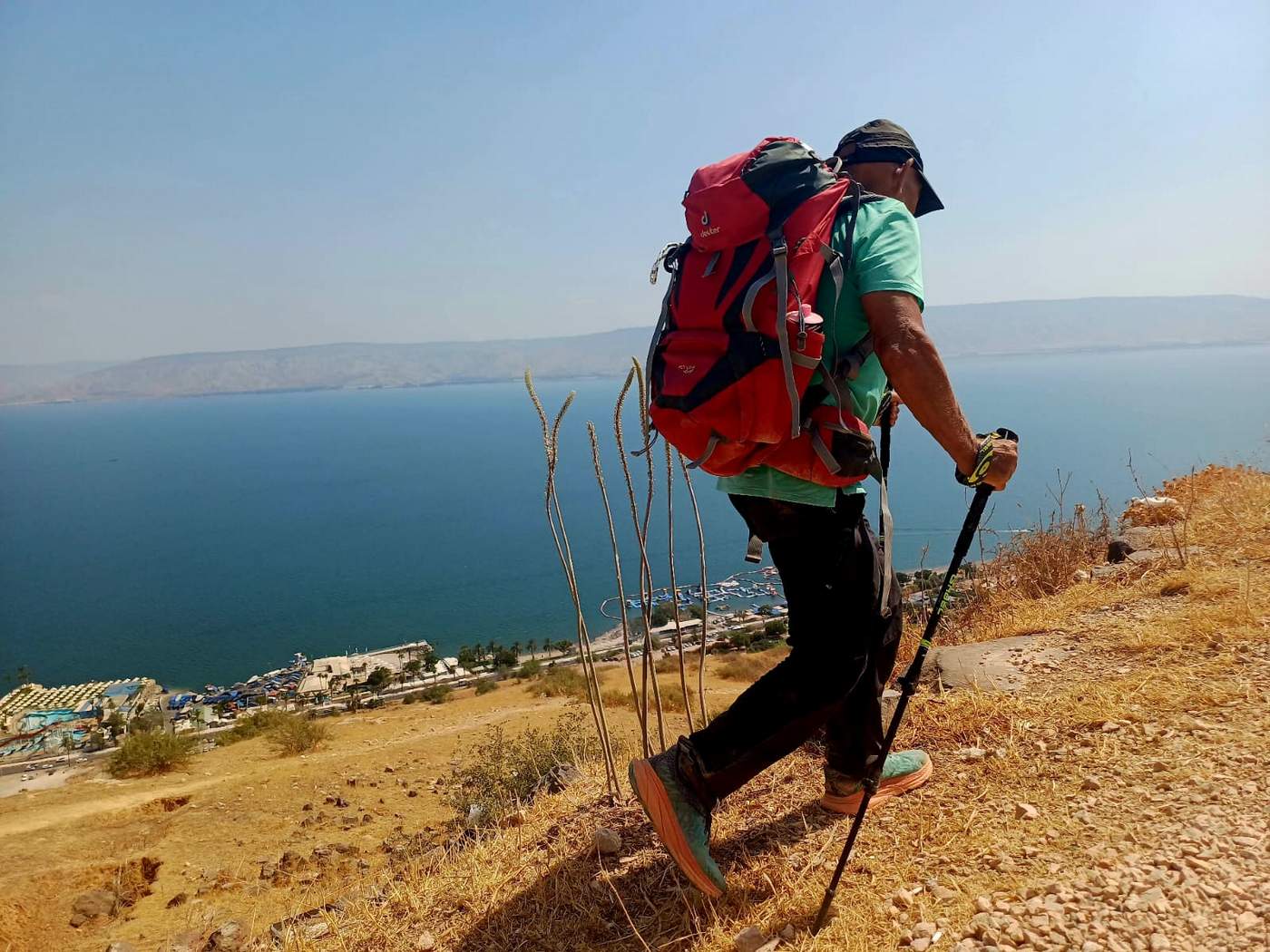 מקלות הליכה