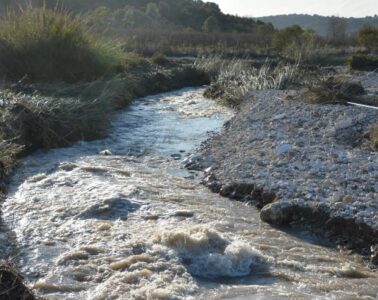 מתכון לטיול משפחות קליל: אל רמת מנשה הפסטורלית image1
