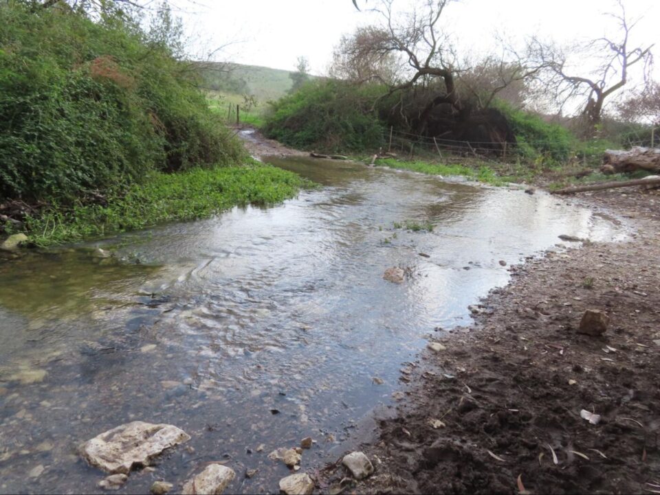 זרימת המים בעין מחוללים (צולם בחודש דצמבר). צילום: עמית מנדלסון, אתר טבע ונופים בישראל