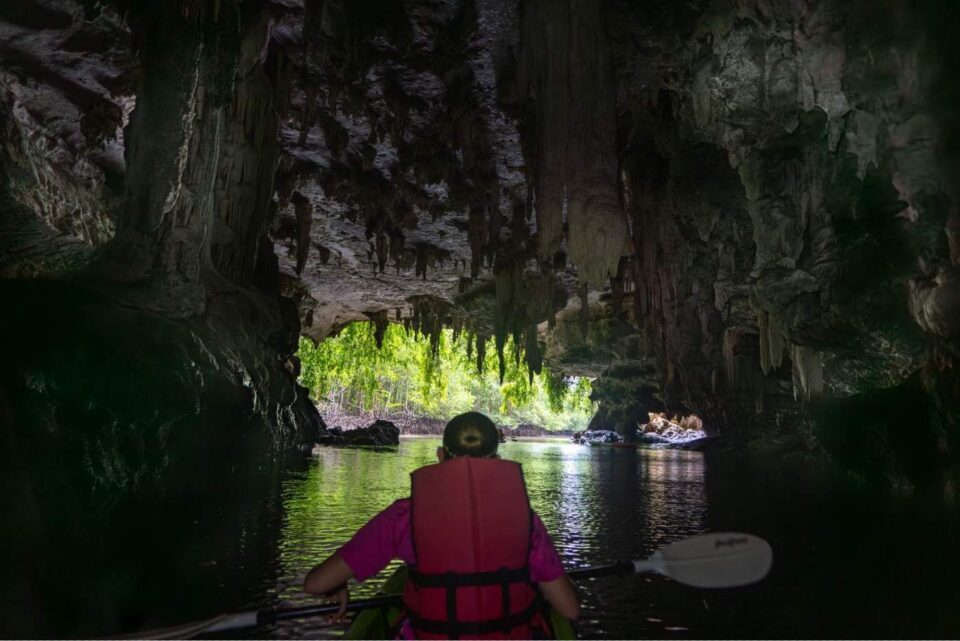 שיט במנגרובים