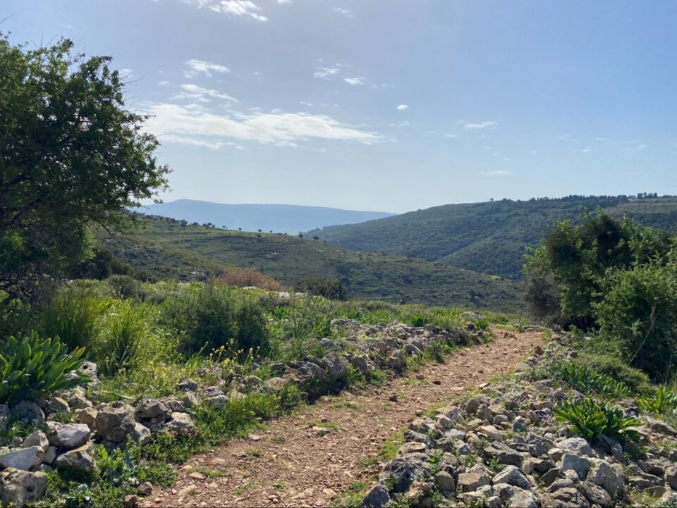 הגליל