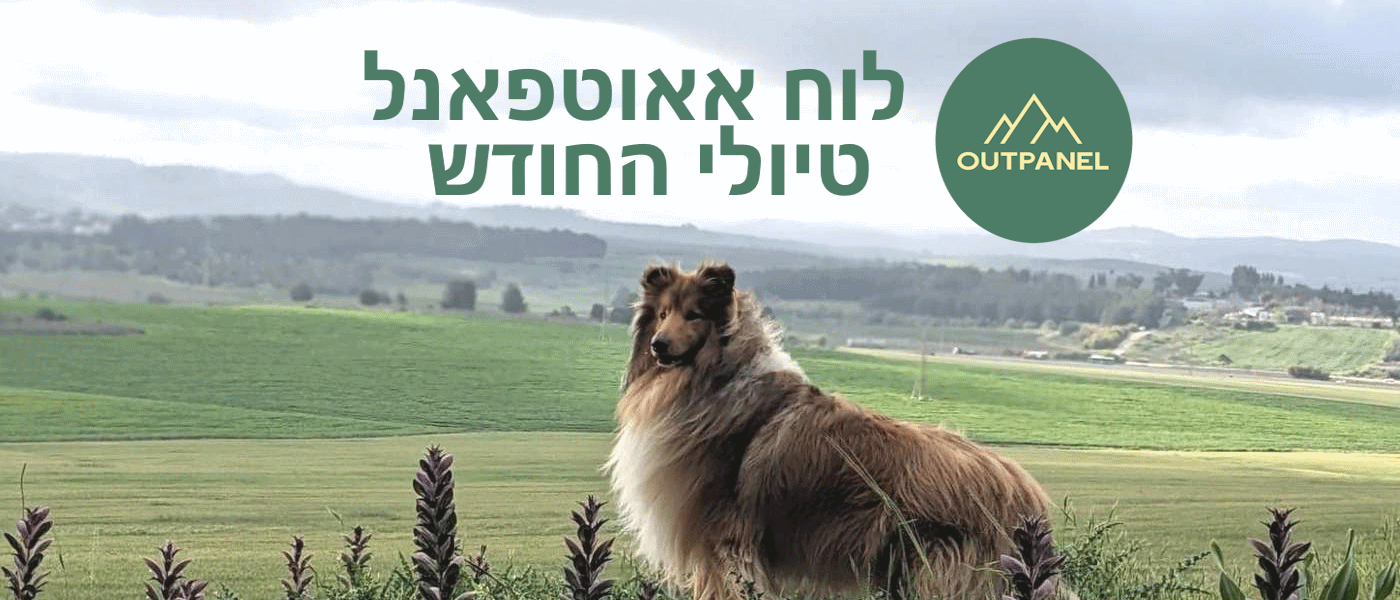 לוח אאוטפאנל