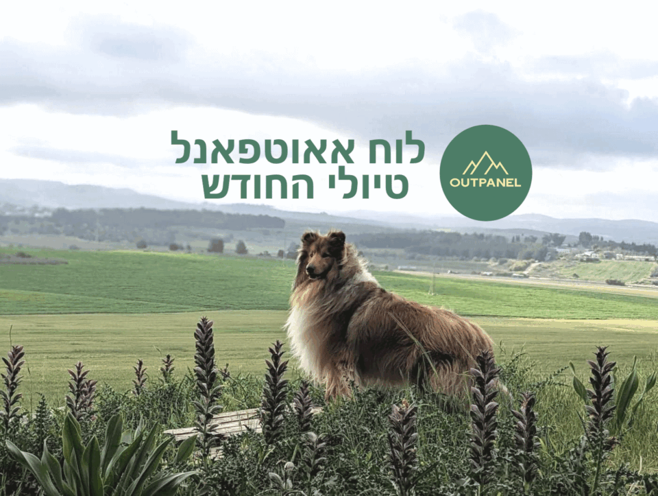 לוח אאוטפאנל