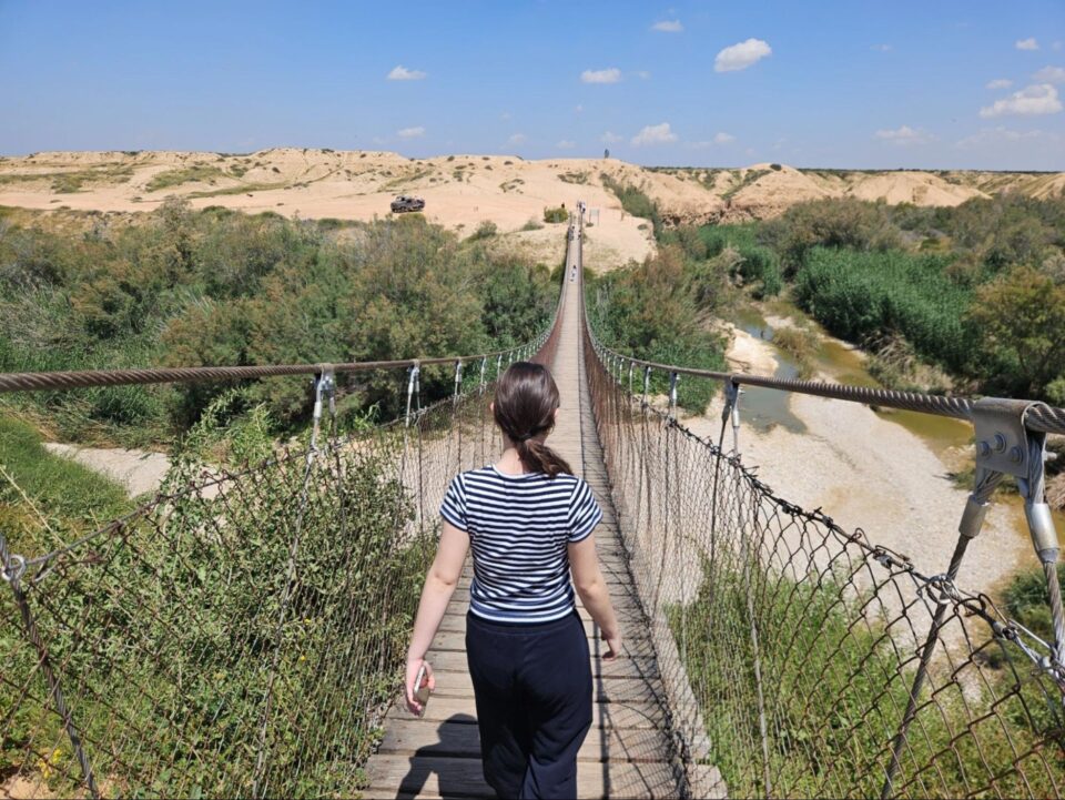 צאלים