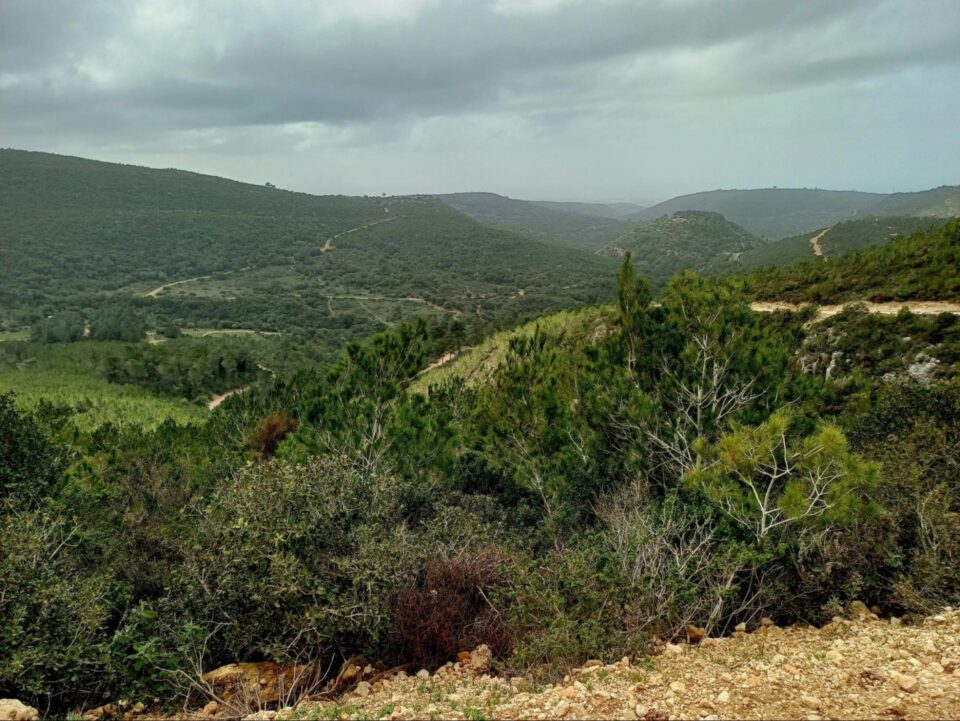 עוספיא