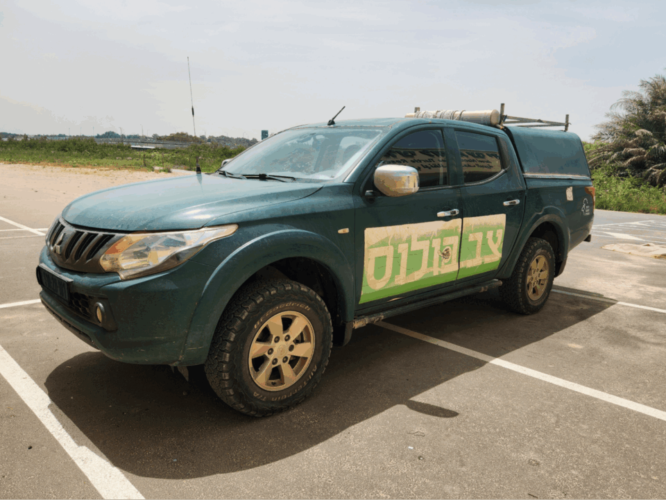 צב בולנס