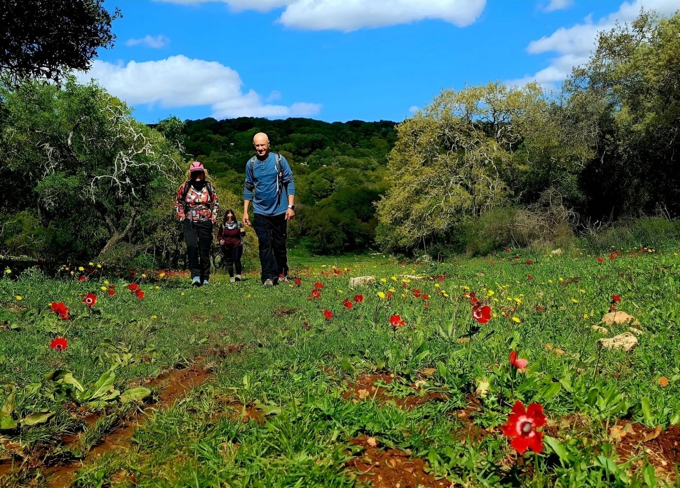 פריחה בכרמל - אפשר גם בארץ
